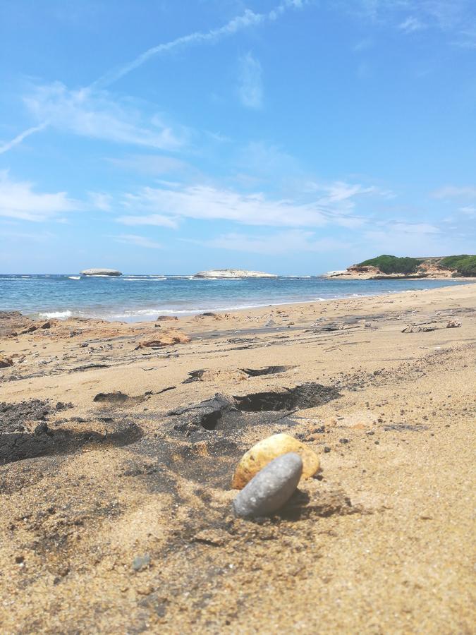 萨尔科图住宿加早餐旅馆 萨尔奇图库列里 外观 照片